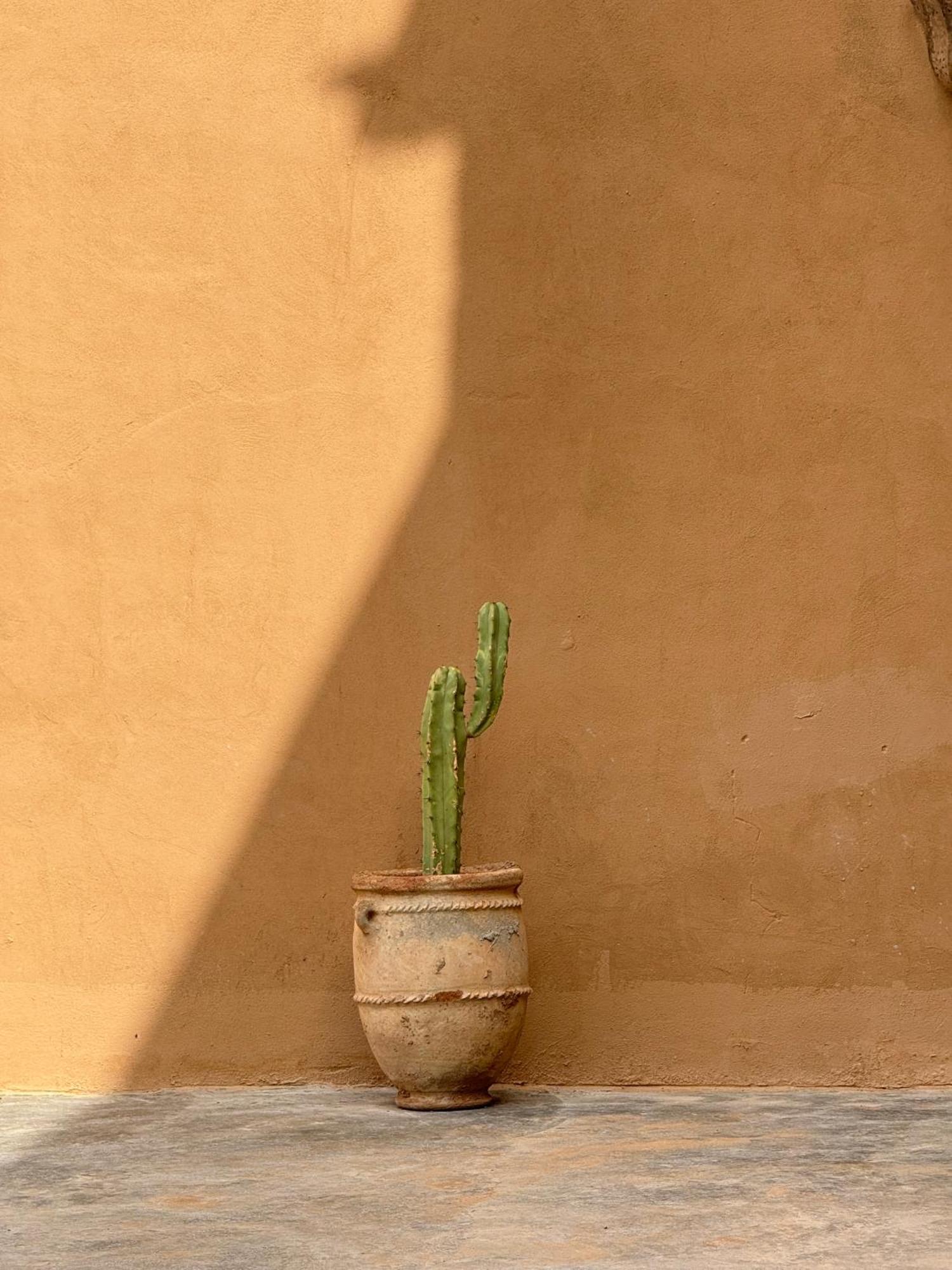 Kasbah Aitisfoul 호텔 Tagounite 외부 사진