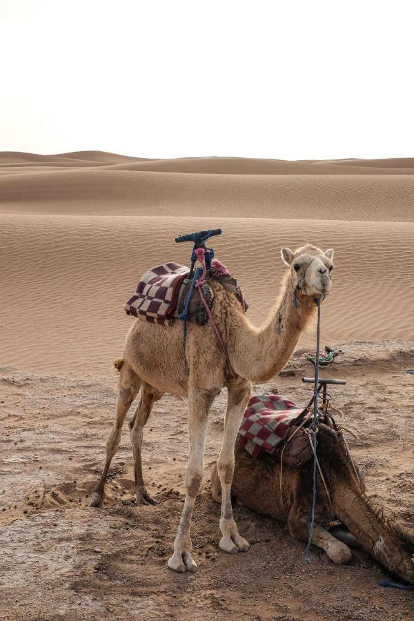 Kasbah Aitisfoul 호텔 Tagounite 외부 사진